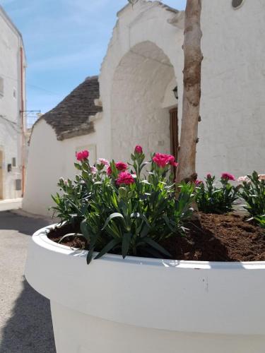 WhatsApp Image 2018-03-19 at 18.24.18