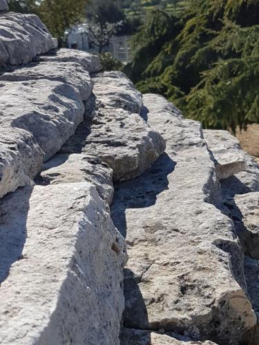 WhatsApp Image 2018-03-19 at 18.24.31(1)