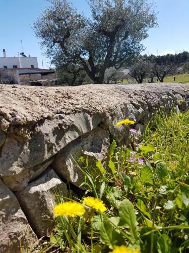 WhatsApp Image 2018-03-19 at 19.35.32